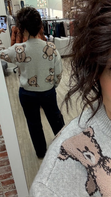 Annarosa Long Sleeve Crewneck in Grey