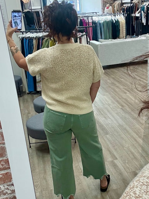 Short Sleeve Glitter Pullover in White Cap