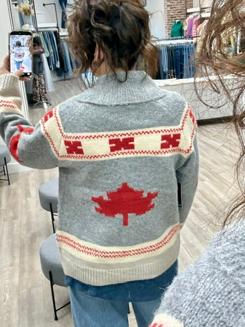 True North Zip Sweater in Grey