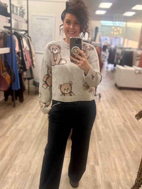 Annarosa Long Sleeve Crewneck in Grey