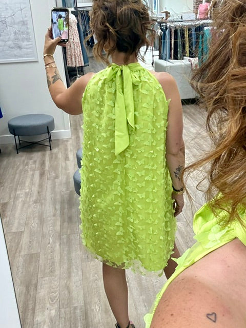 Bridgerton Butterfly Effect Dress in Lime